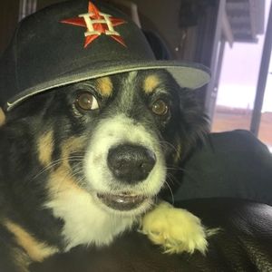 Meet your Posher, Marcus